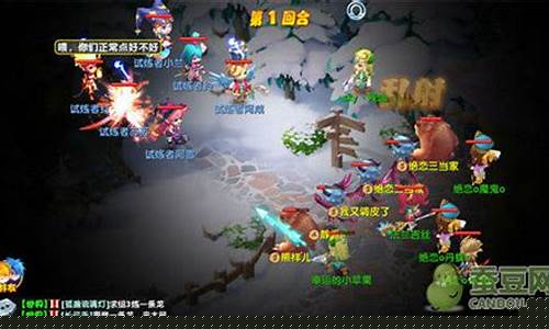 魔力宝贝中的佣兵技能培养与强化攻略
