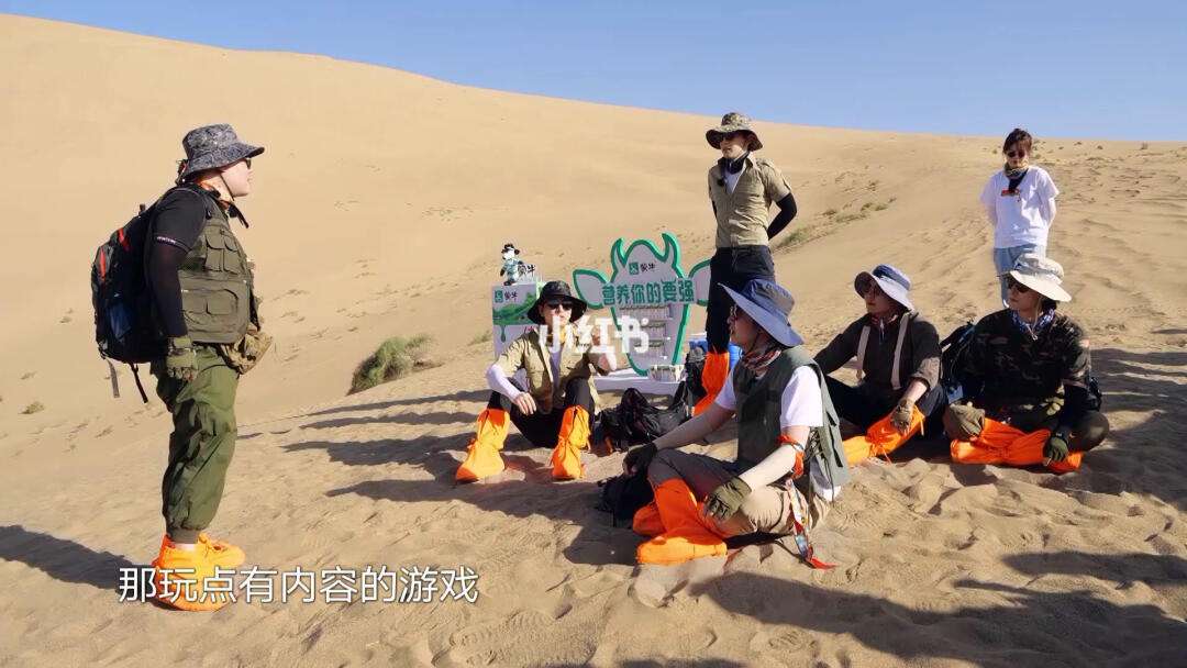综艺节目最好玩的游戏(综艺节目最好玩的游戏是什么)